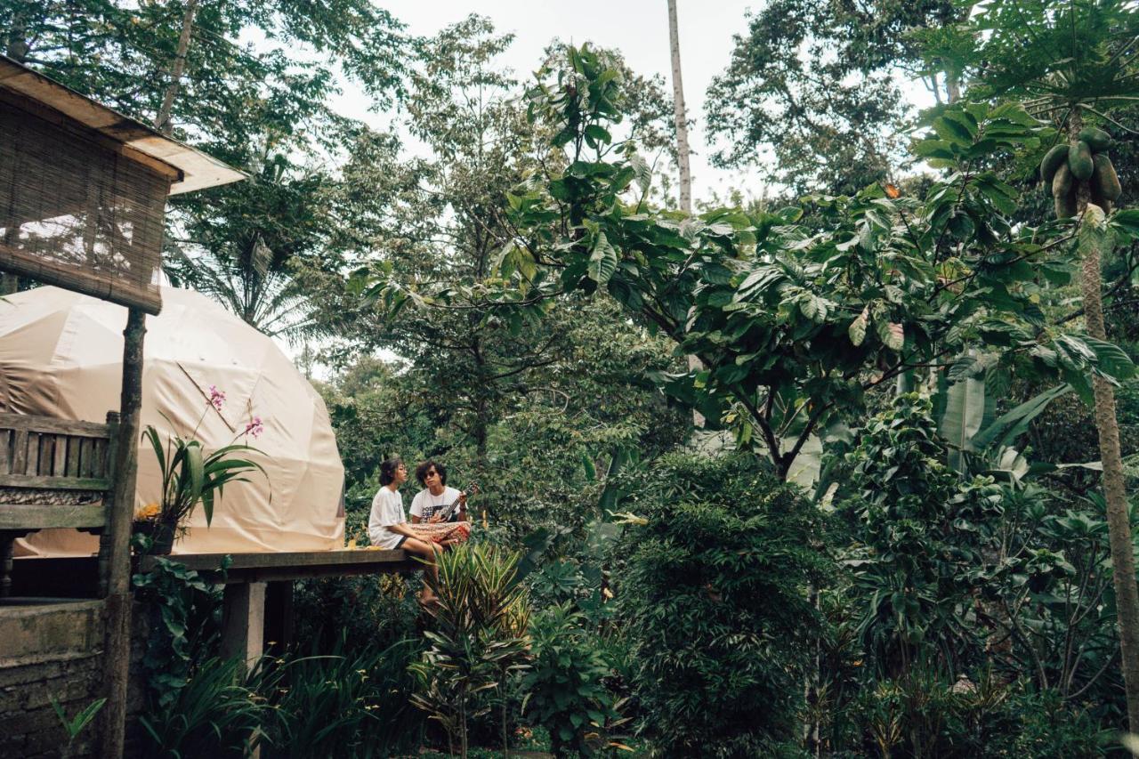 Bali Jungle Camping By Amerta Experience Selemadeg Exterior foto