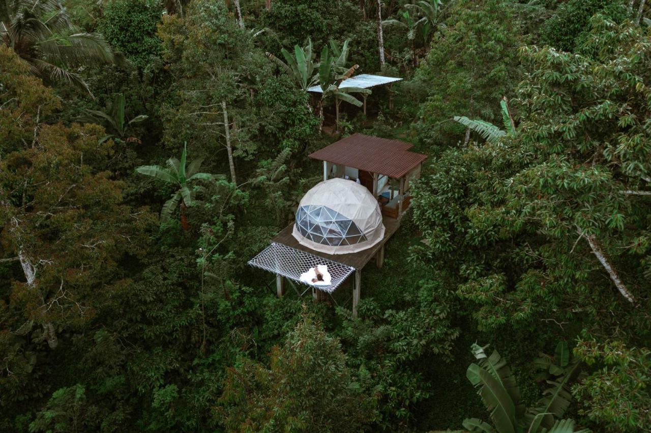 Bali Jungle Camping By Amerta Experience Selemadeg Exterior foto