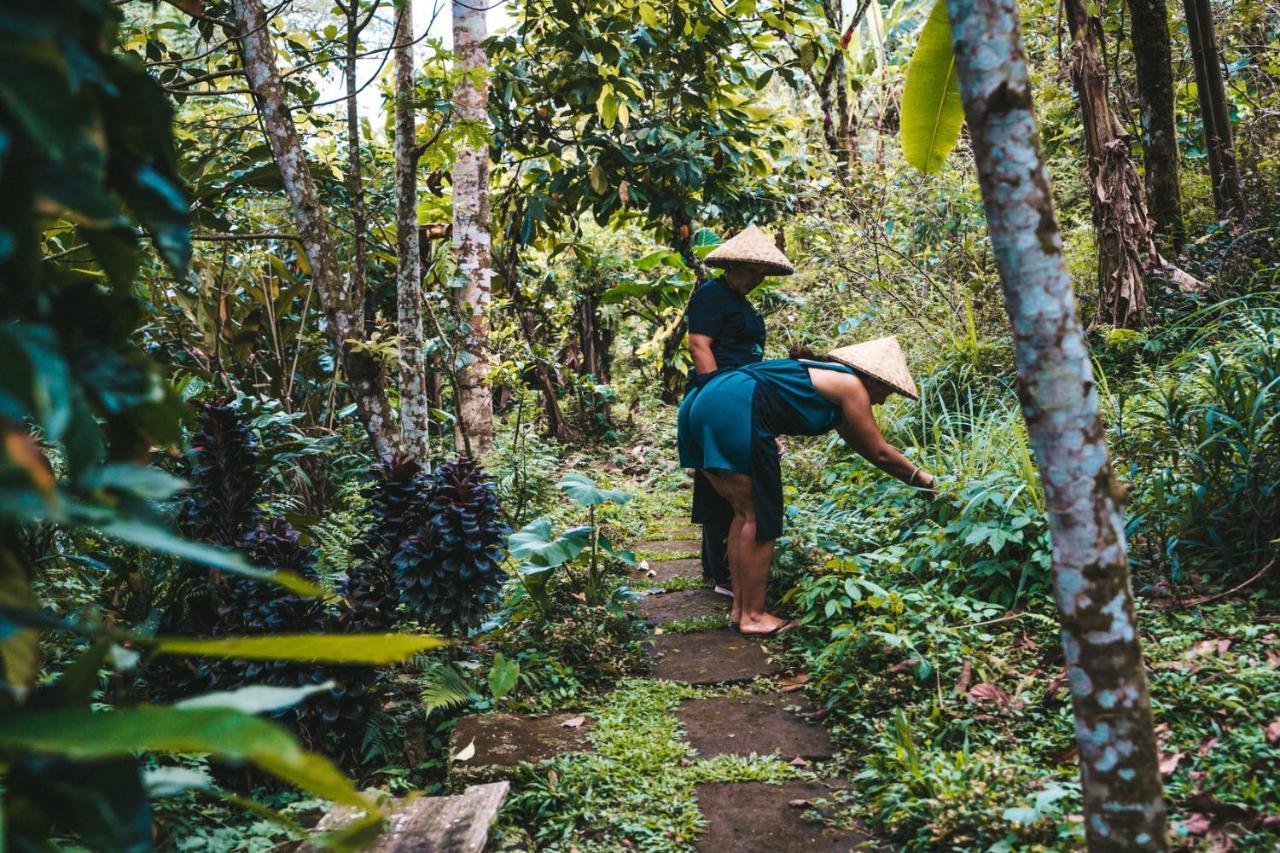Bali Jungle Camping By Amerta Experience Selemadeg Exterior foto